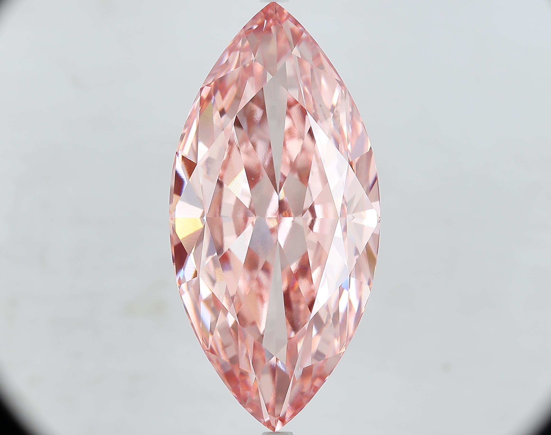 MARQUISE